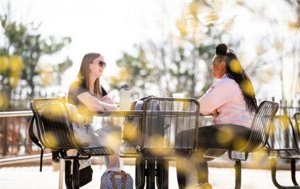 在一所大学校园里，两个朋友坐在室外的一张桌子上，周围是黄色的花朵.  