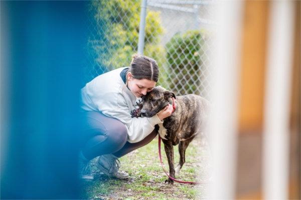 A college student crouches down to embrace a dog at a shelter.  